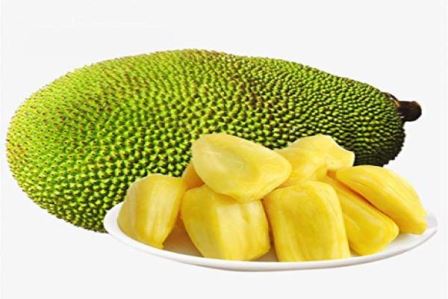 13894080Jackfruit