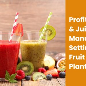 Profitable-Pulp-Juice-Manufacturing-Setting-Up-Your-Fruit-Juice-Plant