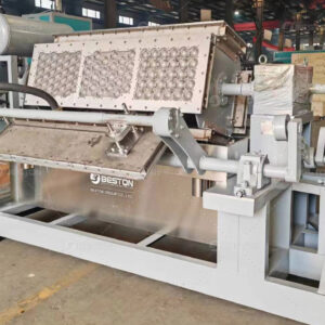 Ship-Fruit-Tray-Making-Machine-to-Mexico-in-2024