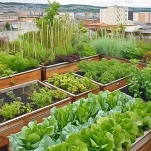 benefits-of-vertical-rooftop-farming