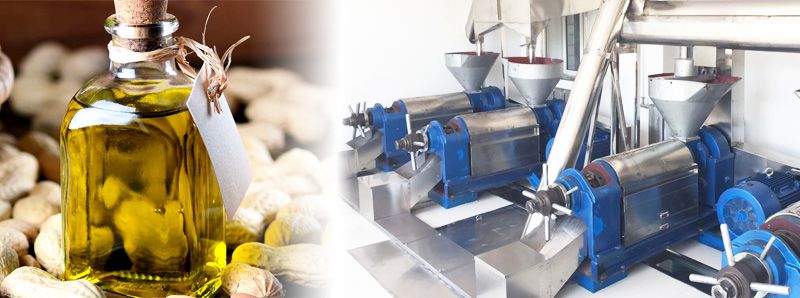 business-plan-of-small-scale-groundnut-oil-processing-mill