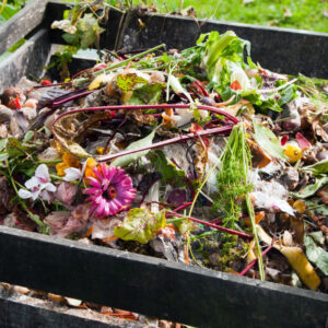 how_to_compost_at_home__1_