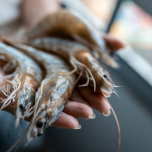 Shrimp, Fishing Market, Raw, Hand