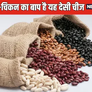 kidney-beans-Rajma-Benefits-2024-08-1253245782bae1f1f662f9ce9fe8f3a7