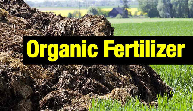 organic-fertilizer-production-process