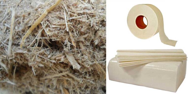 bagasse-for-paper-making