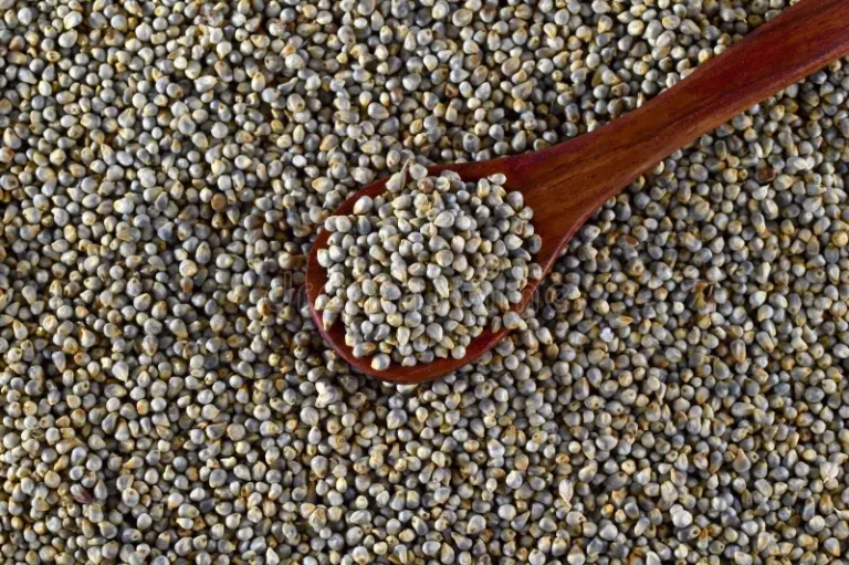 close-up-pearl-millet-bajra-wooden-spoon-205225760