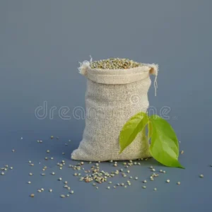 millet-bajra-jute-bag-wooden-spoon-isolated-gray-background-organic-pennisetum-glaucum-burlap-sack-healthy-raw-291475716